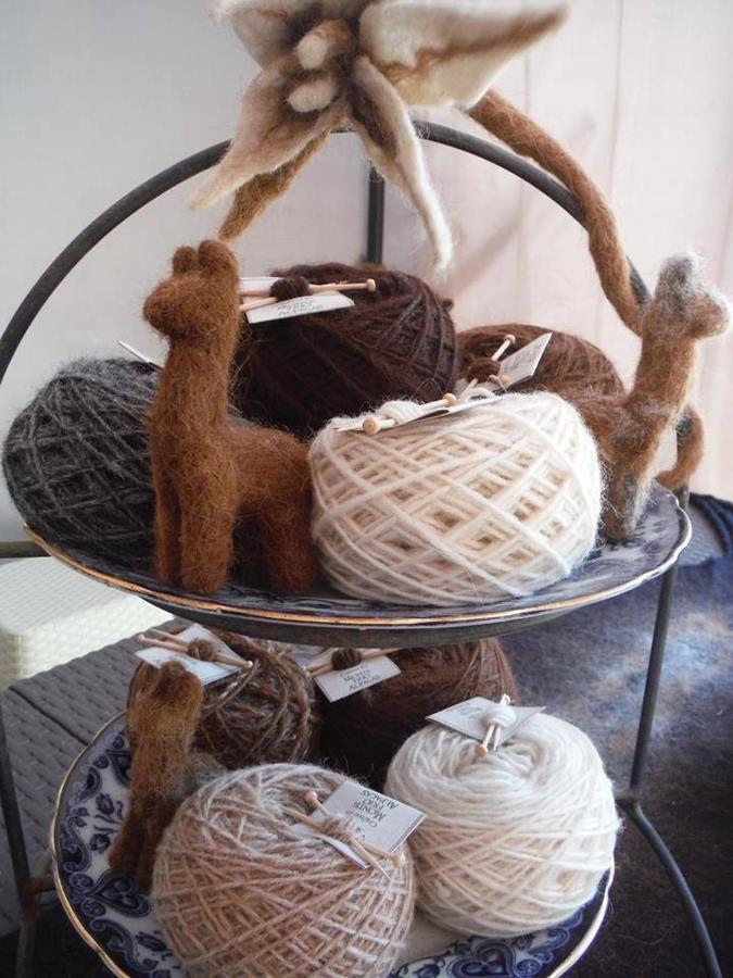 Monte Frio Alpacas Villa Nariz Eksteriør billede