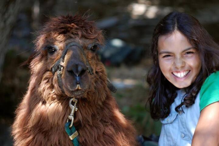 Monte Frio Alpacas Villa Nariz Eksteriør billede