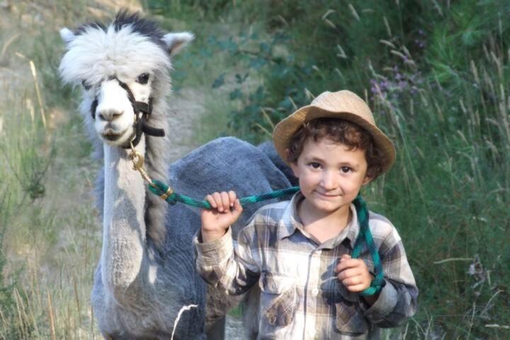 Monte Frio Alpacas Villa Nariz Eksteriør billede